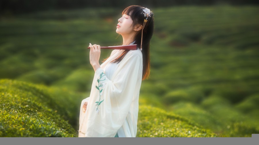 提升网站SEO排名的专业选择：选择优秀的SEO公司
