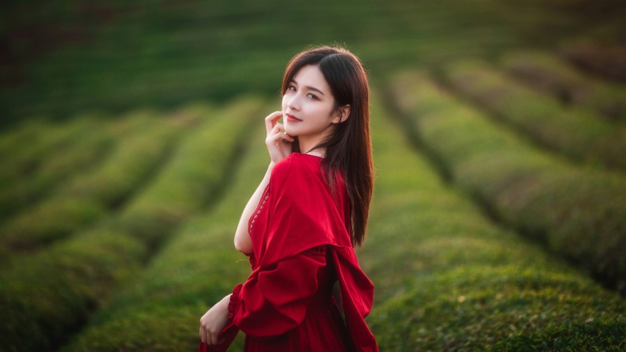 h2XCSEO重庆SEO搜索排名案例解析h2