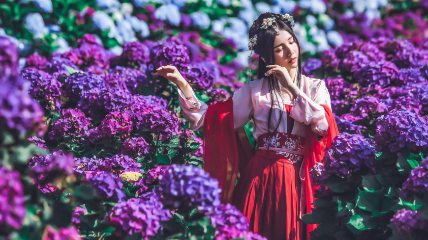 李香君头像