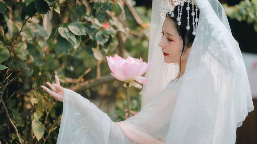 南京SEO排名厂家：助您网站蜕变为流量与收益的源泉