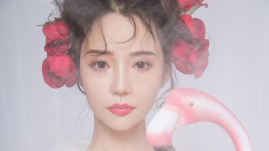 XCSEO沧州SEO优化排名价格指南